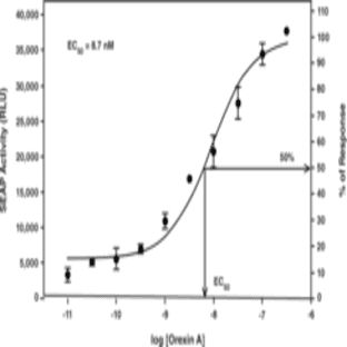 Orexin 1 Receptor STEP Reporter Assay Kit (Luminescence)