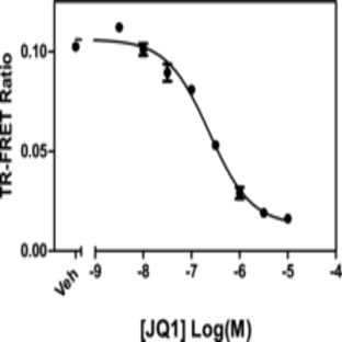 BRD4 bromodomain 1 TR-FRET Assay Kit avatar