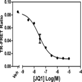 BRD4 bromodomain 2 TR-FRET Assay Kit avatar