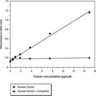 Nrf2 Transcription Factor Assay Kit