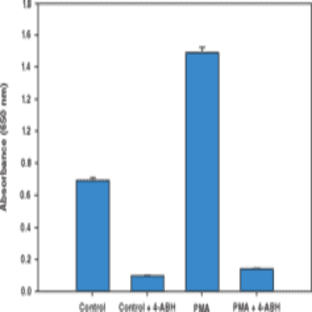 Neutrophil Myeloperoxidase Activity Assay Kit