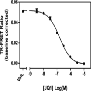BRDT bromodomain 1 TR-FRET Assay Kit avatar