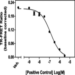 BAZ2B bromodomain TR-FRET Assay Kit