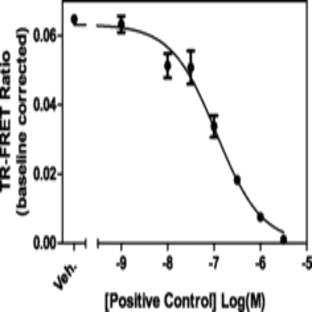 BRM bromodomain TR-FRET Assay Kit avatar