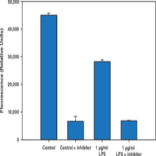 Cathepsin S Cell-Based Assay Kit avatar