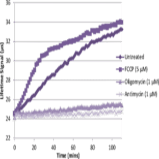 Oxygen Consumption Rate Assay Kit (MitoXpress(R)-Xtra HS Method)