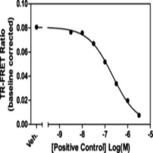 CBP bromodomain TR-FRET Assay Kit