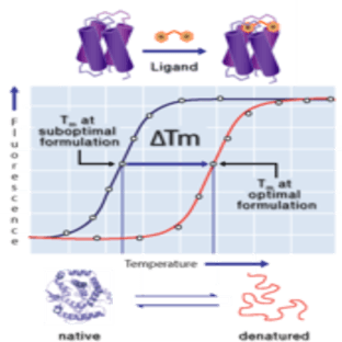 (delta)Tm - Protein Cryoprotection Screening Kit avatar