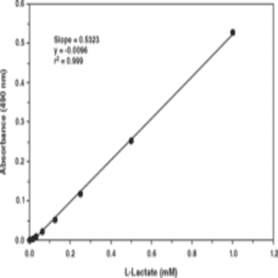 Oxygen Consumption/Glycolysis Dual Assay Kit