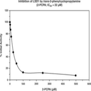 LSD1 Inhibitor Screening Assay Kit