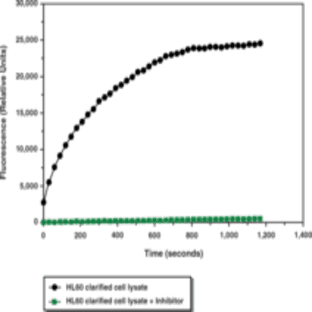 Myeloperoxidase Peroxidation Fluorometric Assay Kit avatar