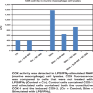COX Fluorescent Activity Assay Kit