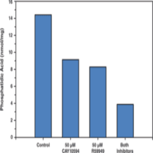 Total Phosphatidic Acid Fluorometric Assay Kit avatar