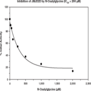 JMJD2D Inhibitor Screening Assay Kit avatar