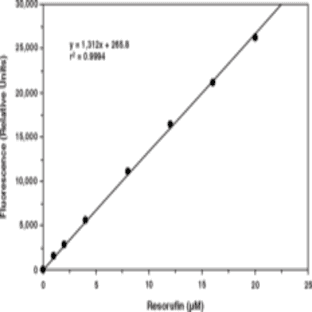 Phospholipase D Assay Kit