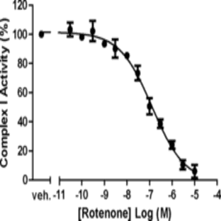 MitoCheck Complex I Activity Assay Kit