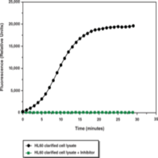 Myeloperoxidase Chlorination Assay Kit