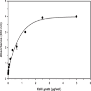 ChREBP Transcription Factor Assay Kit avatar