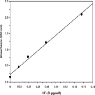 NF-kB (human p50) Transcription Factor Assay Kit avatar