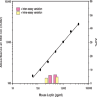 Leptin (mouse/rat) EIA Kit avatar