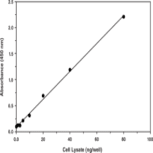 SREBP-2 Transcription Factor Assay Kit avatar