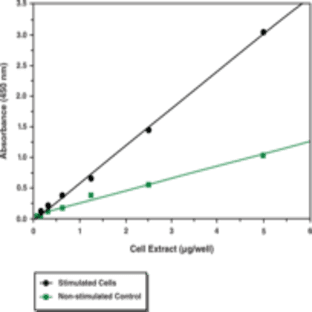 NF-kB (p65) Transcription Factor Assay Kit avatar