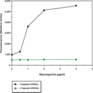 Caspase-3 Fluorescence Assay Kit avatar