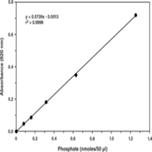 Malachite Green Phosphate Assay Kit