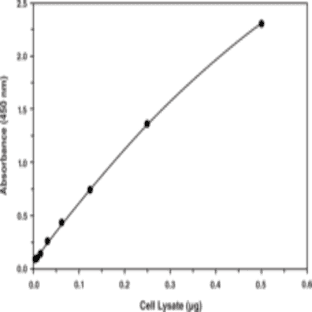 SREBP-1 Transcription Factor Assay Kit avatar