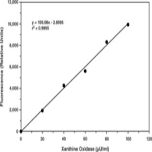 Xanthine Oxidase Fluorometric Assay Kit avatar