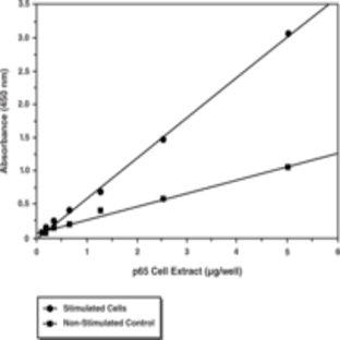 NF-kB (human p50/p65) Combo Transcription Factor Assay Kit avatar
