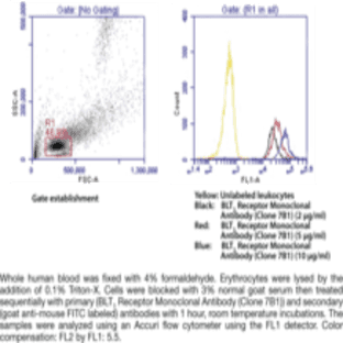 BLT1 Receptor Monoclonal Antibody (Clone 7B1)