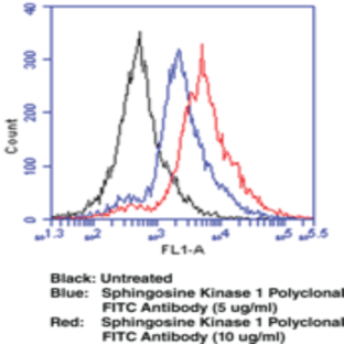 Sphingosine Kinase 1 Polyclonal FITC Antibody avatar