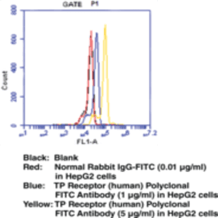 TP Receptor (human) Polyclonal FITC Antibody avatar