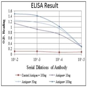 anti-ACTA2 / Aortic Smooth Muscle Actin antibody avatar