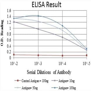 anti-ACTA2 / Aortic Smooth Muscle Actin antibody avatar