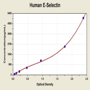 Selectin E (SELE) ELISA Kit avatar