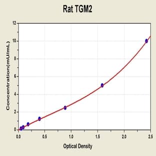 Transglutaminase 2, Tissue (TGM2) ELISA Kit avatar