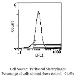 anti-Endothelium antibody (Biotin) avatar