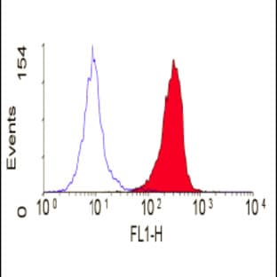 anti-Carcinoembryonic Antigen-Related Cell Adhesion Molecule 1/3/6 (CEACAM1/3/6) antibody avatar