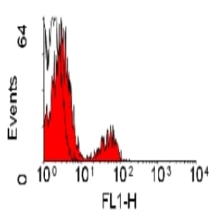 anti-B-Cells antibody (FITC) avatar