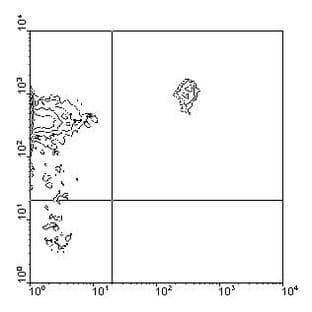 anti-CD45RB (CD45RB) antibody (Biotin) avatar