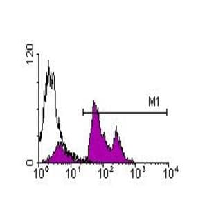 anti-CD45.2/Ly-5.2 antibody (Biotin) avatar