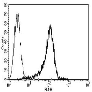 anti-CD34 Class III antibody avatar