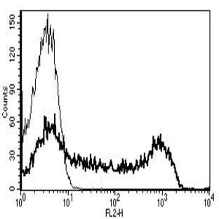 anti-CD45RA (CD45RA) antibody (PE) avatar