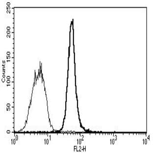 anti-CD34 Class III antibody (PE) avatar