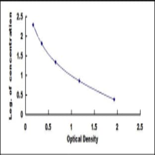 5-Methyltetrahydrofolate (5-Me-THF) ELISA Kit