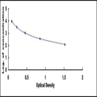 Immunoglobulin G2a (IgG2a) ELISA Kit