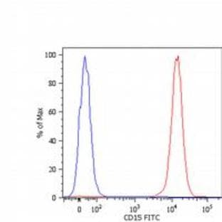 anti-Fucosyltransferase 4 (Alpha (1,3) Fucosyltransferase, Myeloid-Specific) (FUT4) antibody (Biotin)