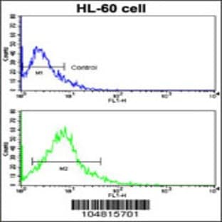 anti-ACE2 (SARS Receptor) (AA 140-172), (Center) antibody avatar
